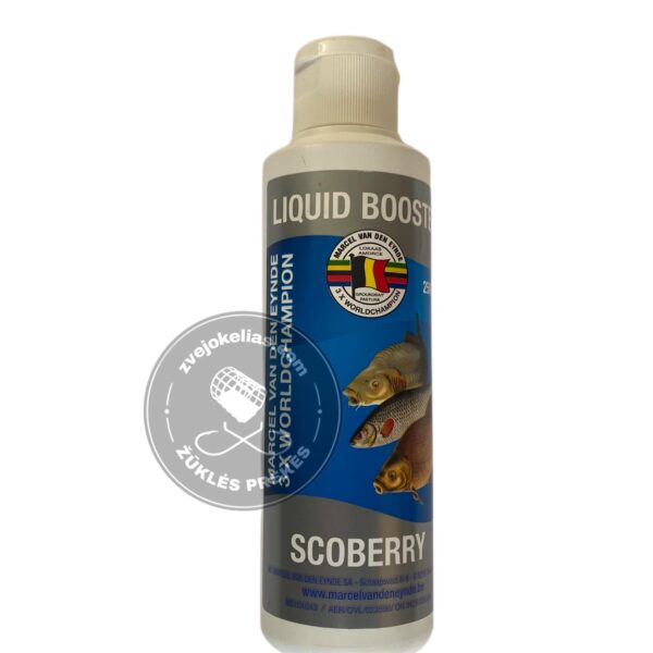 VDE Liquid Booster Scoberry