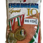 ''Fish Dream Big Fish''