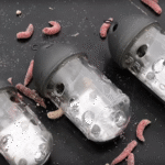 Preston Clik Cap Feeder