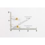 Volframinės Avižėlės SPORT DISCO 1130